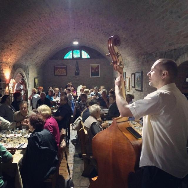 Podrum Miljevic Novi Novi Ledinci Exteriör bild
